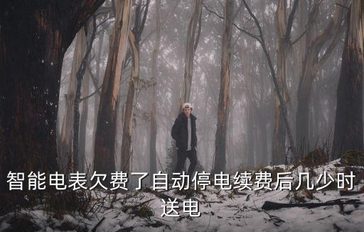智能電表欠費了自動停電續費后幾少時送電
