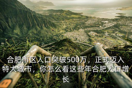 合肥2019年外來人口有多少萬,上海的外來人口大約有多少