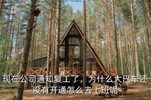 武漢封城沒(méi)有車怎么上班,武漢什么時(shí)候上班