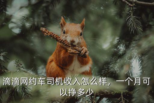 滴滴網約車司機收入怎么樣，一個月可以掙多少