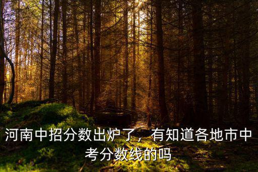 河南十五中分?jǐn)?shù)線是多少,河南中招分?jǐn)?shù)出爐了