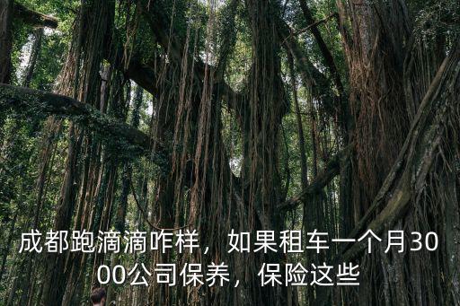 成都租車跑滴滴哪里比較好,成都租車跑滴滴如何