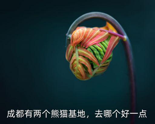 成都有兩個熊貓基地，去哪個好一點