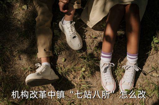 機(jī)構(gòu)改革中鎮(zhèn)“七站八所”怎么改