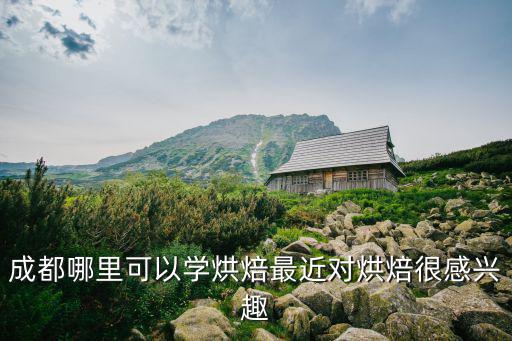 成都哪里可以學nice,成都哪里可以學烘焙