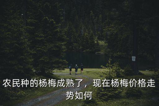 合肥楊梅一斤多少錢,現(xiàn)在楊梅價格走勢如何
