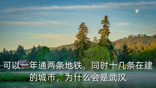 怎么辦武漢地鐵通,可以一年通兩條地鐵