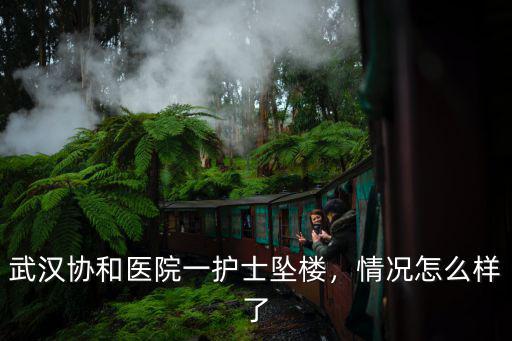 武漢協和醫院聶君怎么樣,武漢協和醫院一護士墜樓