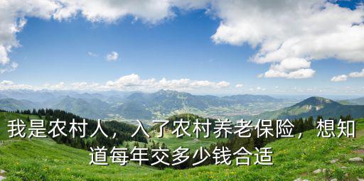 我是農村人，入了農村養老保險，想知道每年交多少錢合適