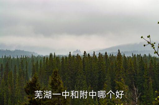 蕪湖一中全國排名多少,蕪湖一中和附中哪個好