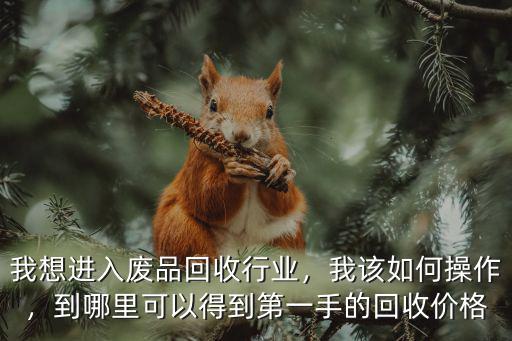 我想進入廢品回收行業，我該如何操作，到哪里可以得到第一手的回收價格