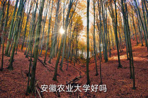安徽農業大學多少博導,安徽農業大學好嗎