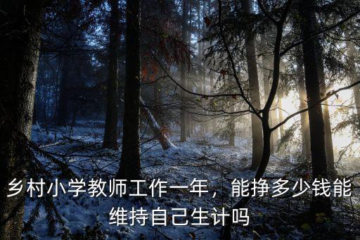 鄉(xiāng)村小學教師工作一年，能掙多少錢能維持自己生計嗎