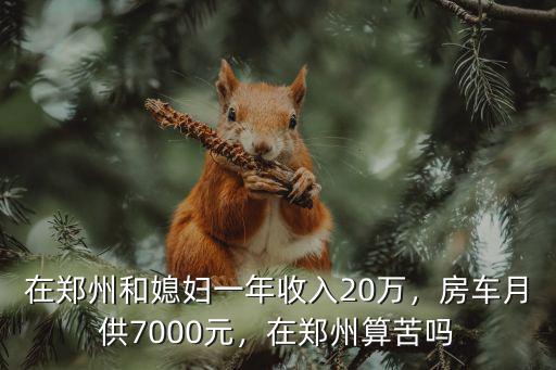在鄭州和媳婦一年收入20萬，房車月供7000元，在鄭州算苦嗎