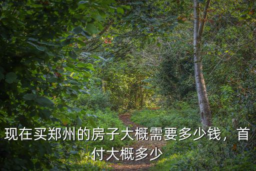 現(xiàn)在買鄭州的房子大概需要多少錢，首付大概多少