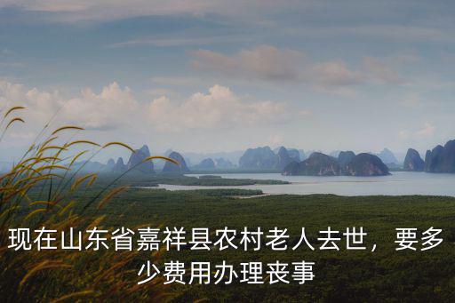 現(xiàn)在山東省嘉祥縣農(nóng)村老人去世，要多少費用辦理喪事