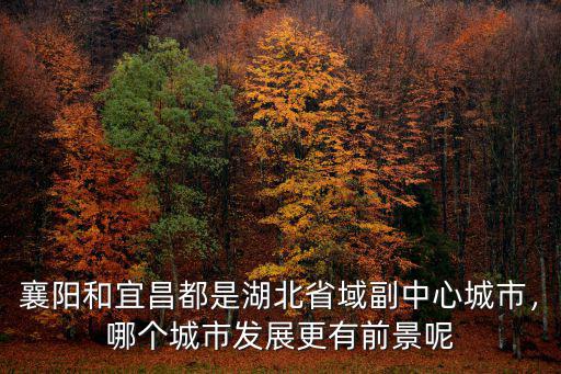 襄陽和宜昌都是湖北省域副中心城市，哪個城市發展更有前景呢