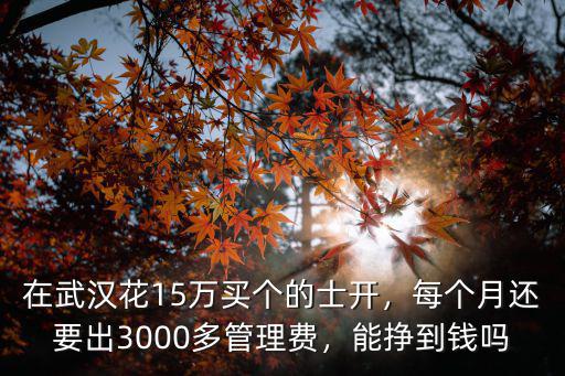 武漢的士監督卡怎么辦,大家覺得武漢的的士怎么樣
