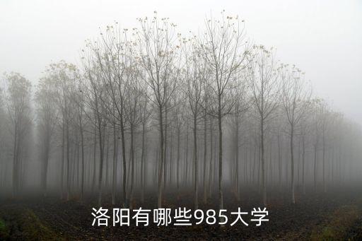 洛陽鎮(zhèn)有多少所大學(xué),洛陽有哪些大學(xué)