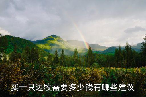 買一只邊牧需要多少錢有哪些建議