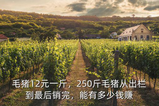 河南三門(mén)峽毛豬多少錢(qián)一斤,毛豬12元一斤