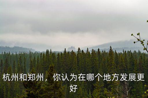 杭州和鄭州，你認為在哪個地方發展更好
