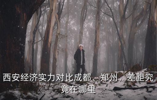 西安經濟實力對比成都、鄭州，差距究竟在哪里
