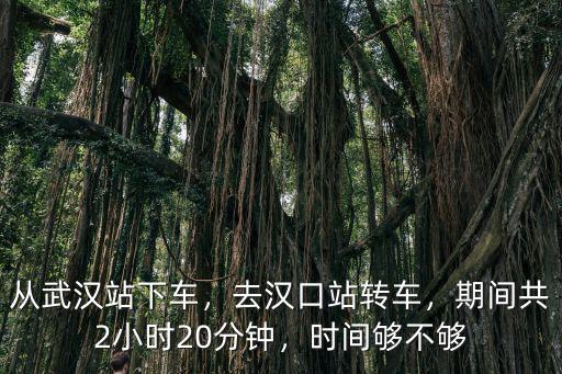 武漢站到漢口站怎么換乘,從武漢站下車