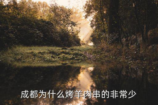 成都哪里賣烤羊肉串,成都為什么烤羊肉串的非常少