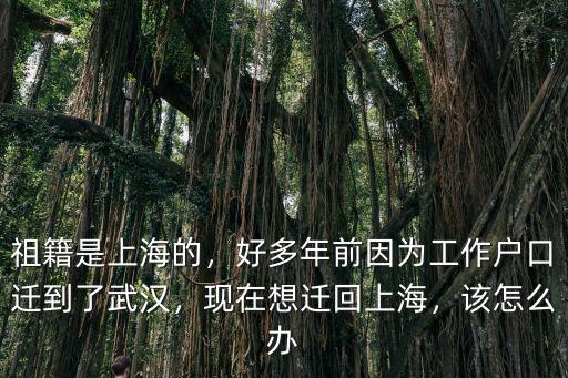 留學(xué)生落戶武漢后怎么辦,武漢應(yīng)屆生落戶問題