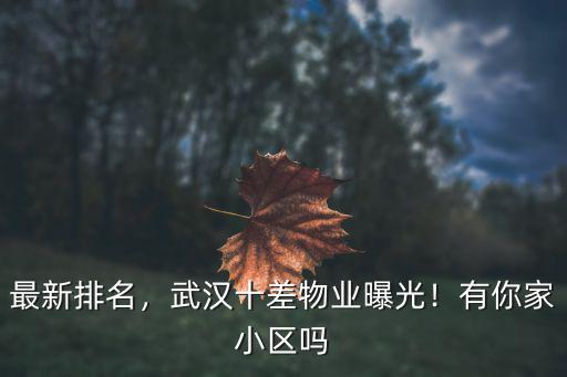 武漢物業(yè)排行榜怎么樣,武漢十差物業(yè)曝光