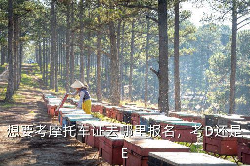 想要考摩托車證去哪里報名，考D還是E