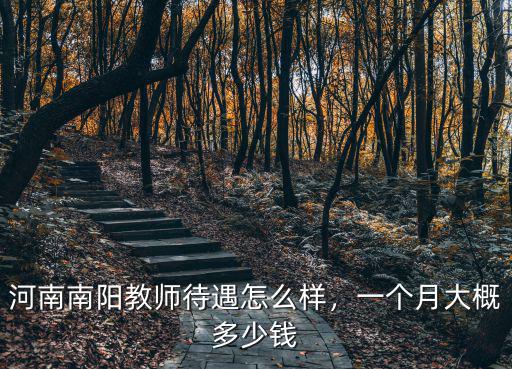 河南新野小學教師一個月多少錢,一個月大概多少錢