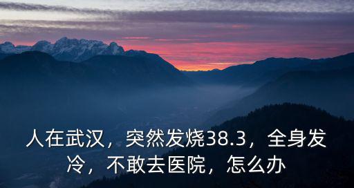 人在武漢，突然發燒38.3，全身發冷，不敢去醫院，怎么辦