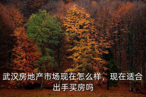 武漢盤城現在怎么樣,武漢房地產市場現在怎么樣
