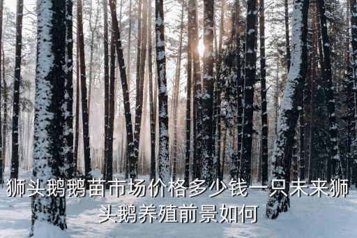 獅頭鵝鵝苗市場價格多少錢一只未來獅頭鵝養殖前景如何