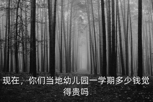 一般在周口幼兒園學費多少錢,各地幼兒園學費多少