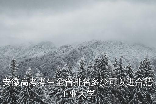 安徽高考考生全省排名多少可以進合肥工業(yè)大學