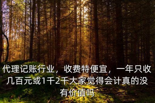 代理記賬行業(yè)，收費特便宜，一年只收幾百元或1千2千大家覺得會計真的沒有價值嗎