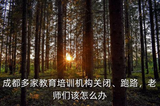 成都教師資格培訓機構去哪里,成都多家教育培訓機構關閉