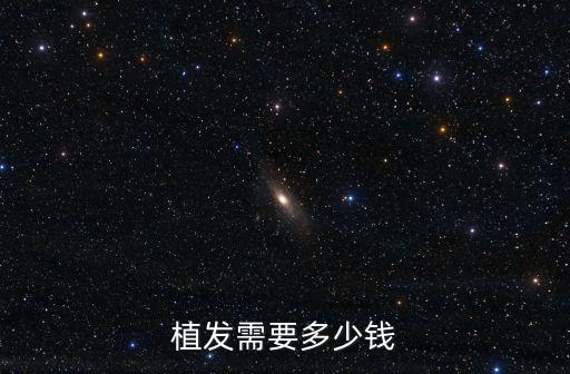 植發需要多少錢