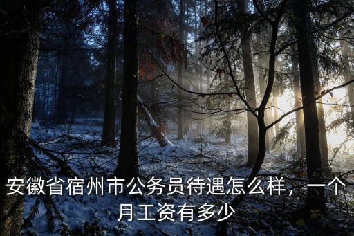 安徽省宿州市公務員待遇怎么樣，一個月工資有多少