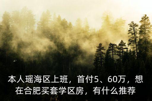 本人瑤海區上班，首付5、60萬，想在合肥買套學區房，有什么推薦
