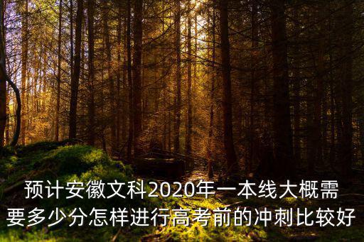 預計安徽文科2020年一本線大概需要多少分怎樣進行高考前的沖刺比較好