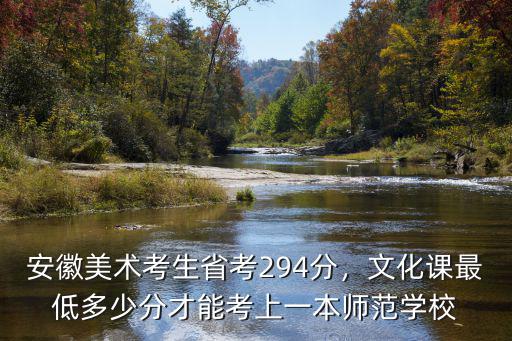 安徽美術考生省考294分，文化課最低多少分才能考上一本師范學校