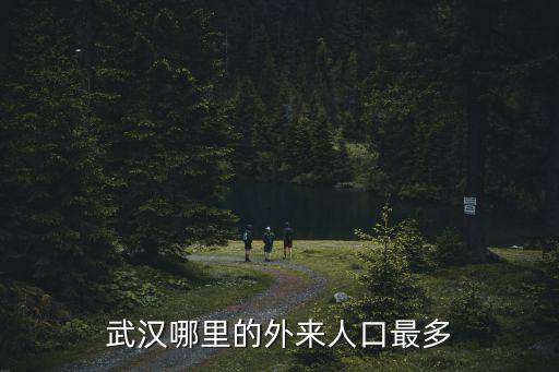 武漢哪里的外來人口最多