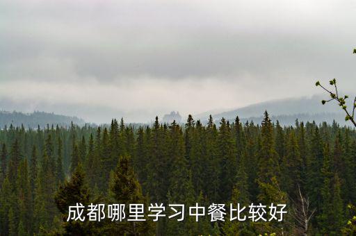 成都哪里學(xué)餐飲較好呀?,成都哪里學(xué)習(xí)中餐比較好