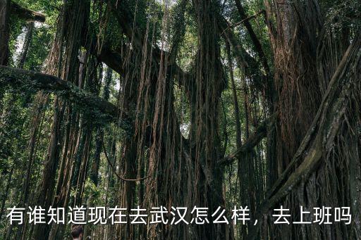 武漢速銷寶上班怎么樣,武漢什么時候上班