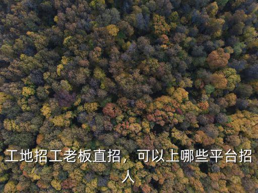 工地招工老板直招，可以上哪些平臺(tái)招人