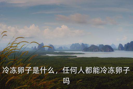 冷凍卵子是什么，任何人都能冷凍卵子嗎